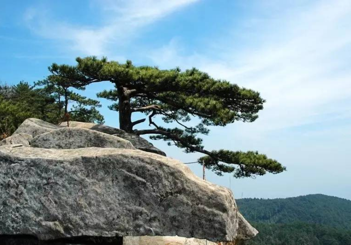 【 第 一 攻 略 】 “ 小 松 宿 松 麻 将 怎 么 一 直 赢 ” - 揭 秘 开 挂 教 程 分 享