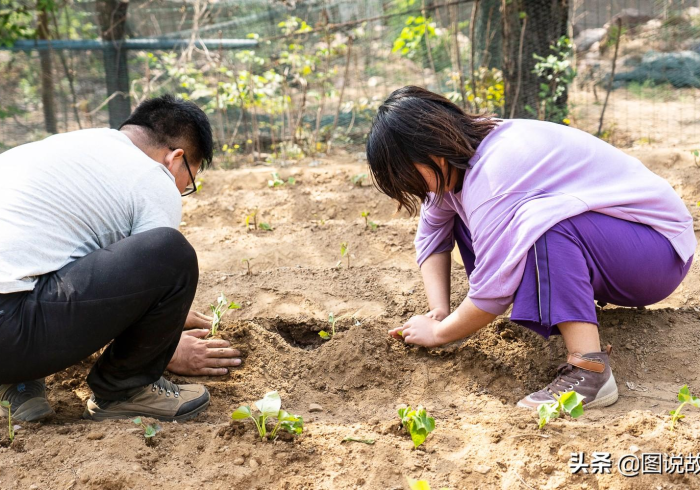 教 程 开 挂 辅 助 : “ 乐 清 禾 城 麻 将 真 能 买 到 挂 吗 ” 分 享 用 挂 教 程 教 程 开 挂 辅 助 : “ 乐 清 禾 城 麻 将 真 能 买 到 挂 吗 ” 分 享 用 挂 教 程