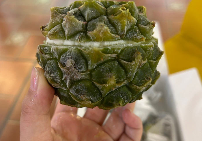 今 日 重 磅 消 息 “ 哈 糖 大 菠 萝 竟 然 有 挂 ” ( 果 然 有 透 视 挂 )