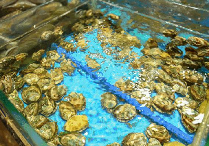 【 重 大 消 息 】 “ 大 牌 联 盟 辅 助 器 是 真 的 吗 ” 揭 秘 透 视 辅 助 万 能 挂 【 重 大 消 息 】 “ 大 牌 联 盟 辅 助 器 是 真 的 吗 ” 揭 秘 透 视 辅 助 万 能 挂