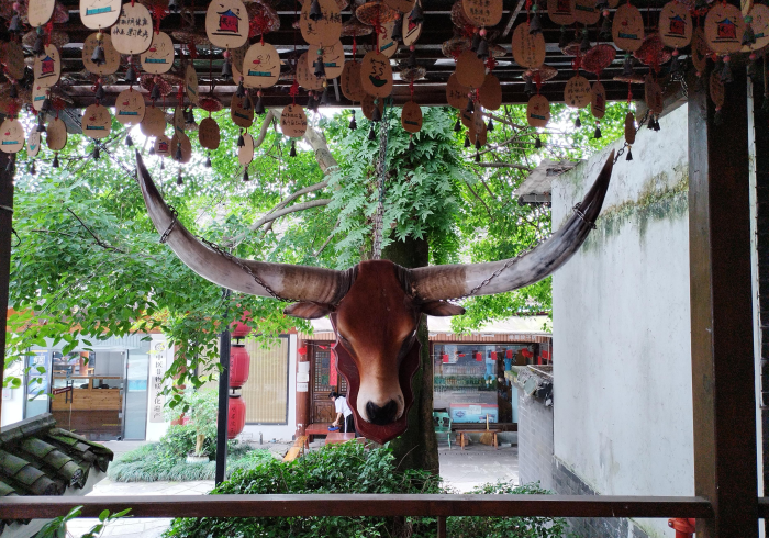我来告诉你“多米开挂器是真的吗”(详细透视教程)