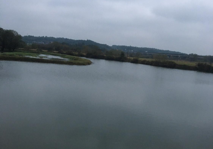 实 测 工 具 “ 微 乐 窝 龙 怎 样 可 以 赢 钱 ” 详 细 分 享 装 挂 步 骤