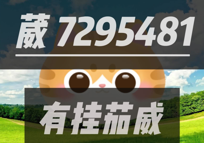 [推荐]“安乡偎麻雀怎么看是否开挂了”最新辅助详细教程