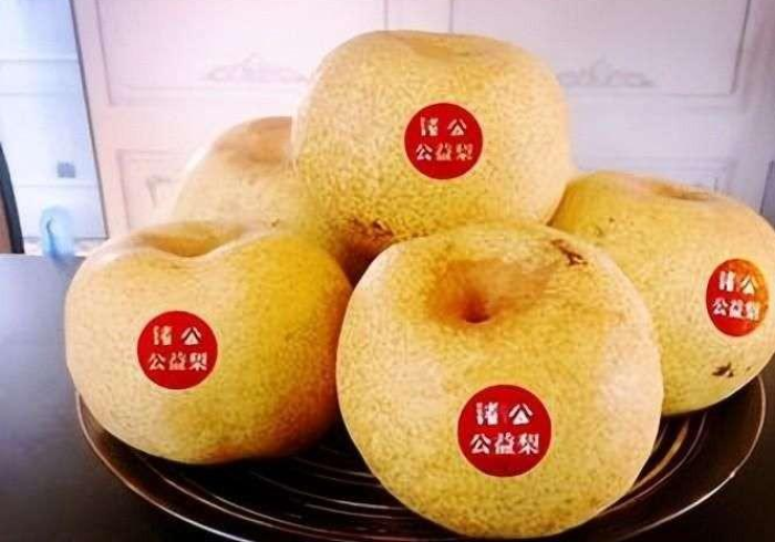 【独家发现】“新众乐新众乐怎么看是否开挂了”(果然有透视挂)