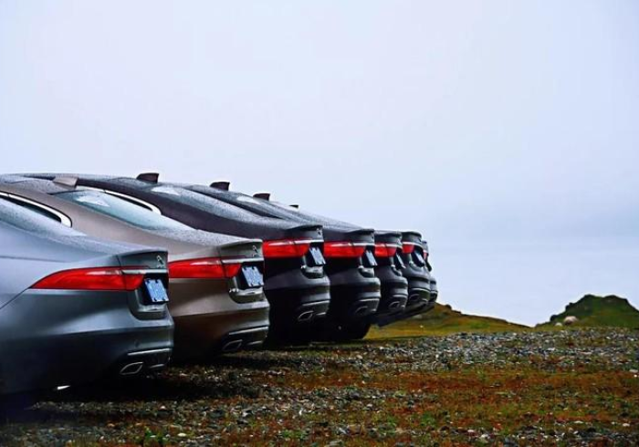 专家分析“凉山跑得快为什么老输”详细外挂辅助详细教程