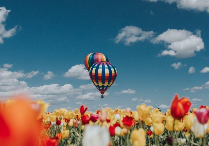 必看教程“微信麻将是不是有挂吗”详细开挂玩法