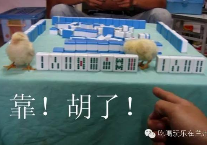 分析实测“中至余干怎么提高好牌几率”(果然有透视挂)