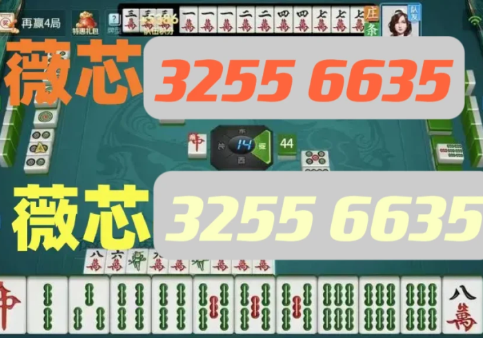 一分钟讲解“微乐衡阳怎么样只赢不输”作弊挂(辅助外挂+教程)