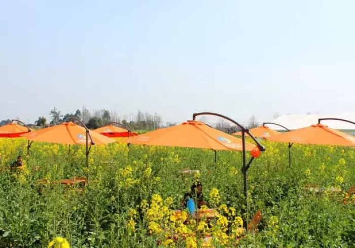 【知识科普】“半日闲麻将开挂多少钱”最新辅助详细教程