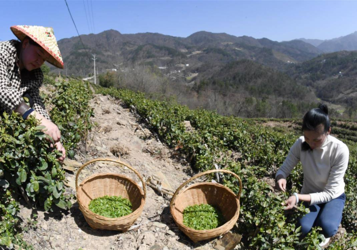 一分钟讲解“蕲春打拱开挂器是真的吗”(原来确实是有挂)