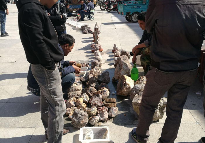 [实测]“阜新麻将开挂器是真的吗”通用版下载教程