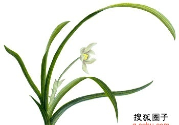 使用分享“空谷幽兰有可以控制的吗”揭秘透视辅助万能挂