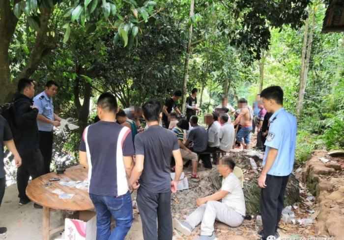 一分钟了解“三公扑克牌扫描仪器报价”(原来真的有挂)-知乎