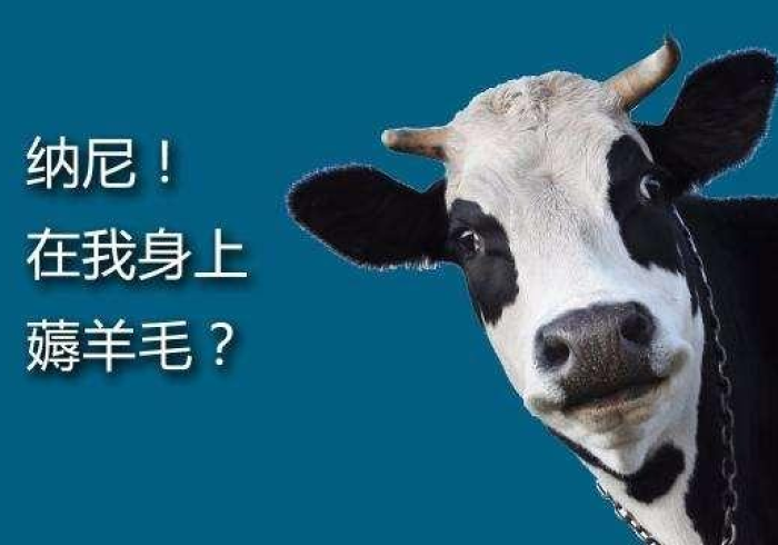 分享六款!地磅头加减遥控器最新款(小程序助赢神器) 