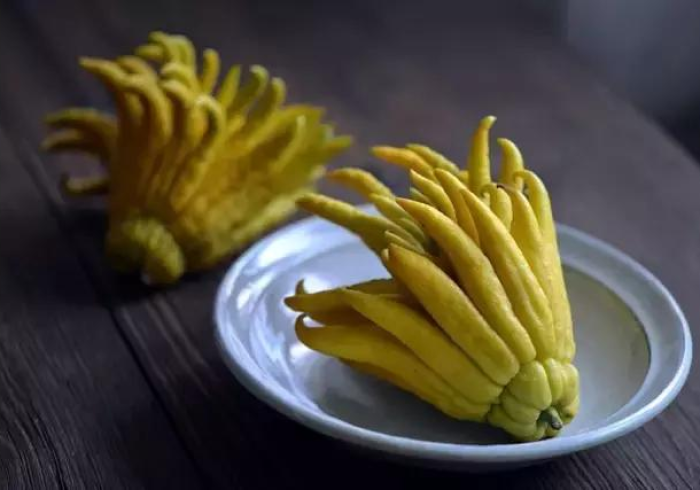 推荐八款“佛手十三道老是输”推荐6个购买渠道