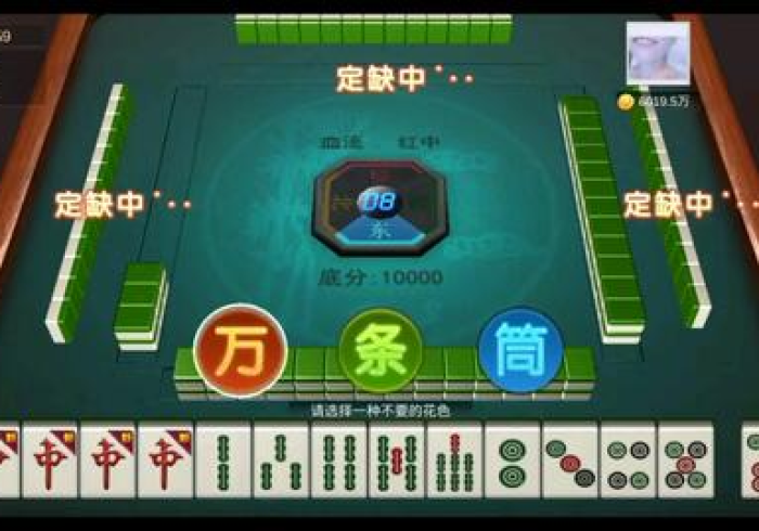 麻将程序控牌器免安装天虎