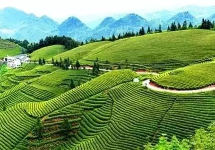 越乡游十三张有挂吗