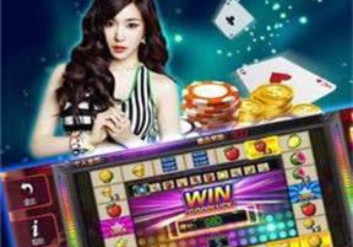 扑克牌斗牛扫描仪视频