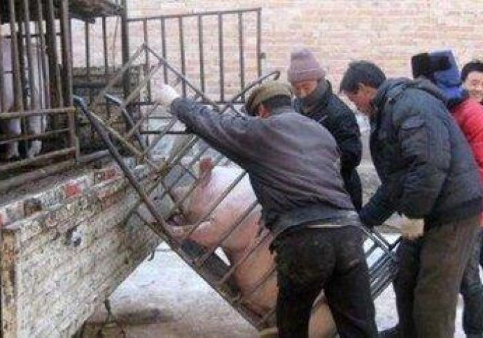 盘点十款!地磅加减遥控器怎么加装(果然可以搞鬼) 盘点十款!地磅加减遥控器怎么加装(果然可以搞鬼)