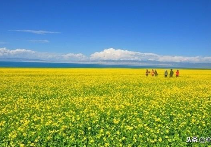 揭秘1款“镜头扫描扑克牌仪器(如何让系统发好牌)