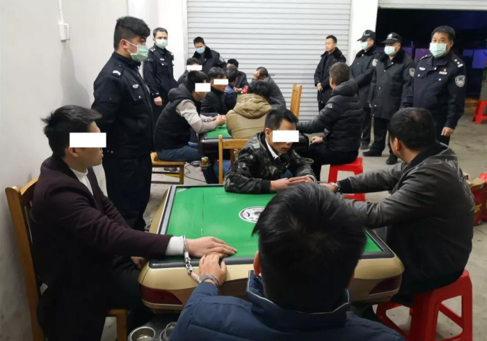 安装程序教程“最新款普通扑克牌扫描仪(程序麻将机怎么作假)