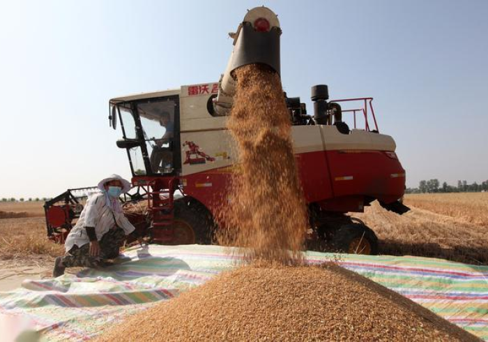 记者揭秘“小地磅加减遥控器最新款(免安装遥控器) 记者揭秘“小地磅加减遥控器最新款(免安装遥控器)