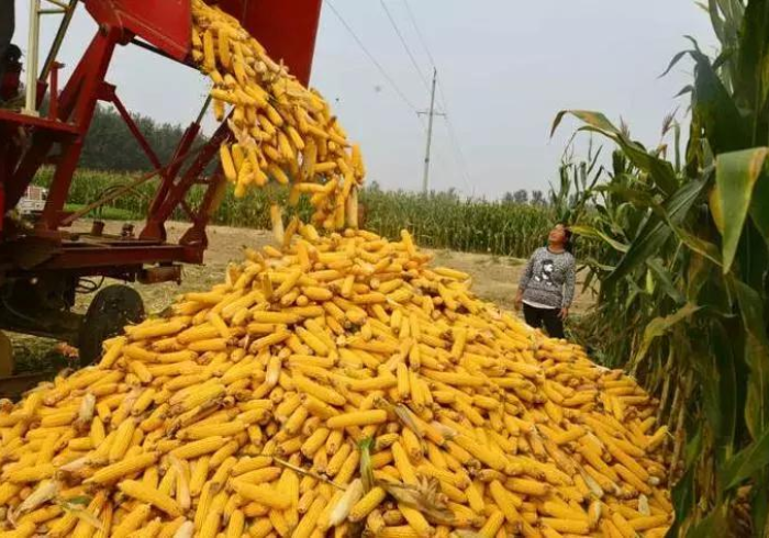 (2分钟介绍)“地磅遥控加减遥控器”(专用神器)