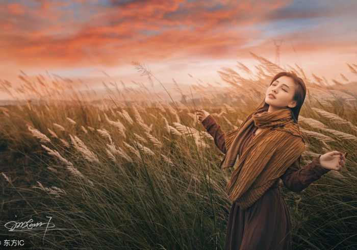 一分钟了解“口袋十三张透视(助手神器外辅工具) 