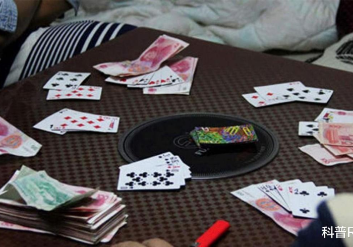 分享决窍“扑克牌扫描镜头的作用”推荐4个购买渠道