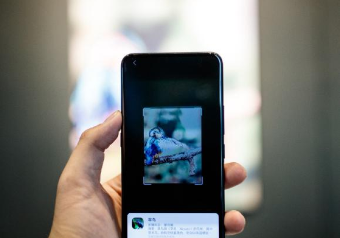 实测分析“红中麻将怎么手机控制”AI实测推荐