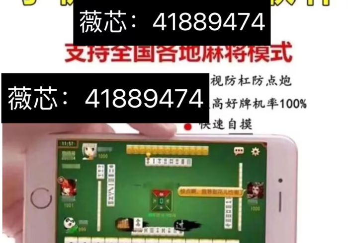 玩家评测“最先进免安装程序麻将机”(详细透视教程)