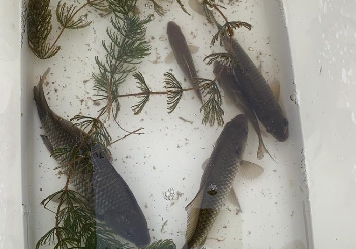 玩家评测“哪有卖麻将机免安装程序怎么购买么”(原来真的有挂)-知乎