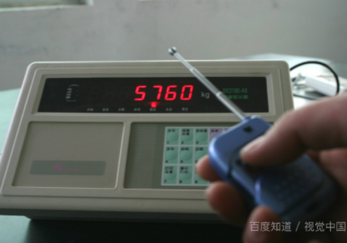 介绍十款“仪征地磅加减遥控器”(2026新神器)-哔哩哔哩