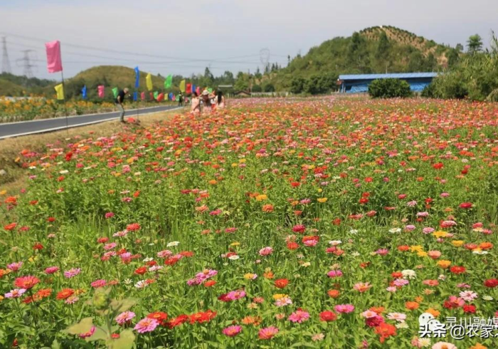 一分钟了解“友玩十三张广西棋牌有挂吗”(可以设置输赢吗)