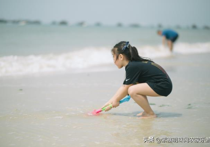 3分钟学会“舟山麻将机程序控牌器”(详细操作教程)-哔哩哔哩