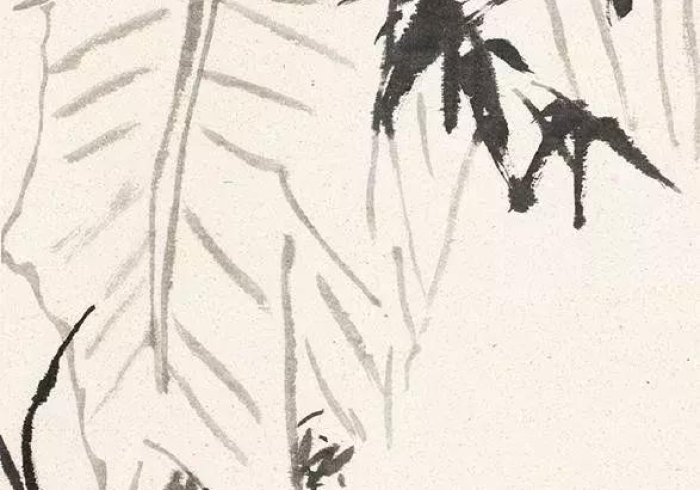 玩家实测“友局十三水有挂吗”最新辅助详细教程