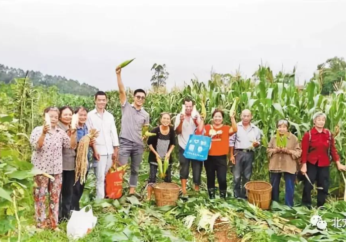 实测教程!地磅加减遥控器是真的吗”推荐8个购买渠道